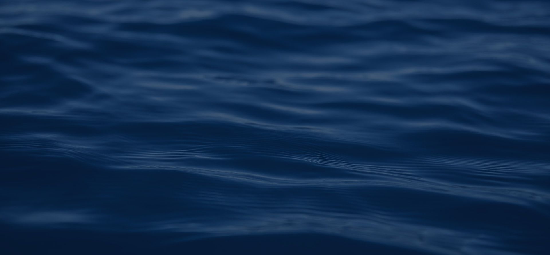 Capri Freediving - Freediving and snorkeling courses with a certified ...