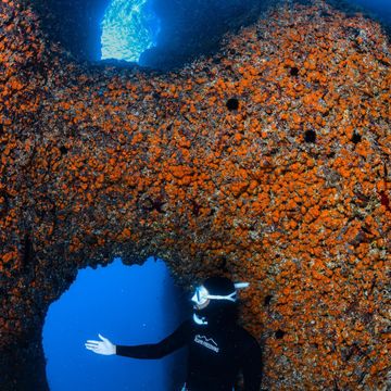 Capri Free Diving, photo 2
