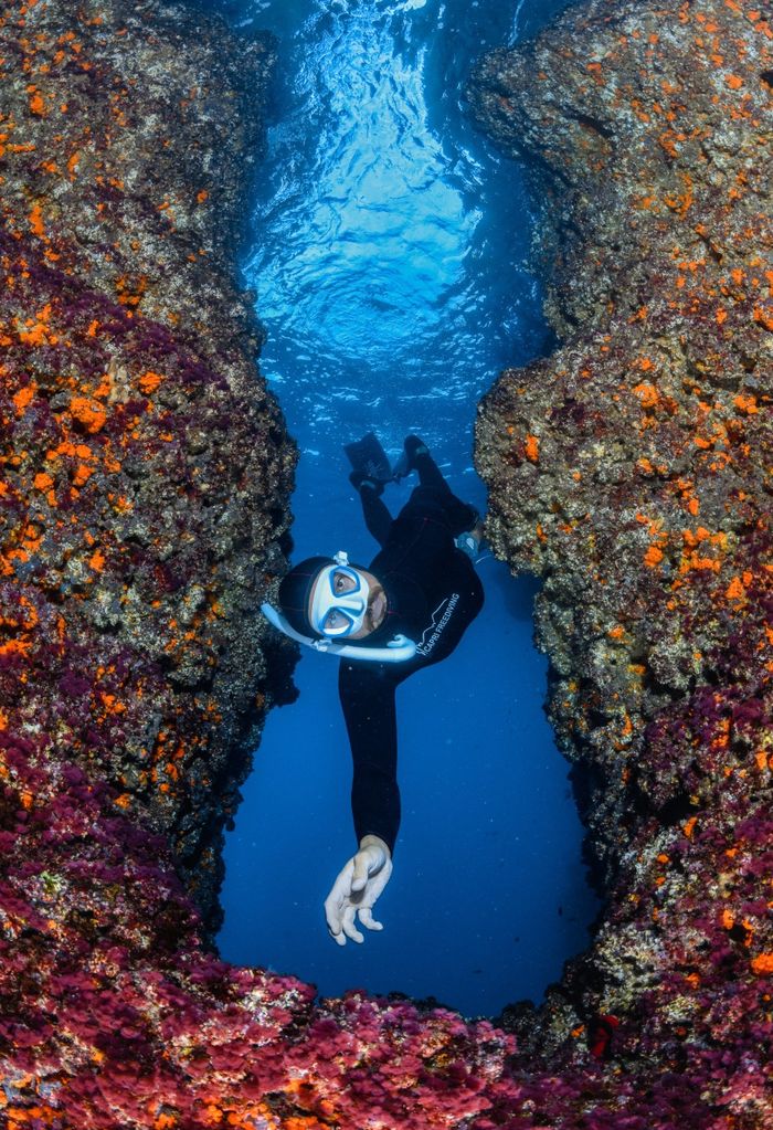 Photos of Freediving and Snorkeling Courses in Sorrento, Capri, and the ...