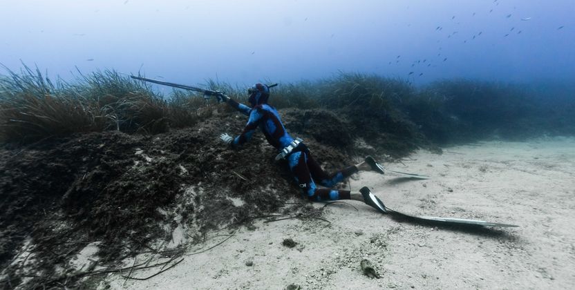 Spearfishing Experience - 1 Day